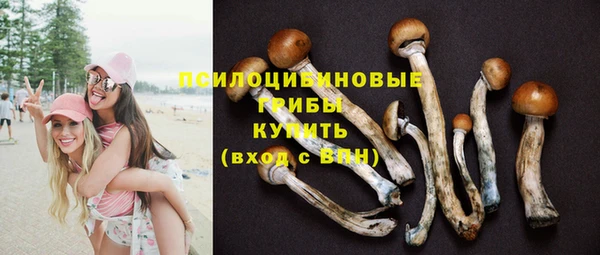 прущие грибы Алексин