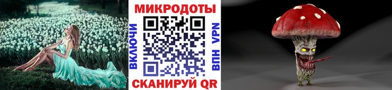 Галлюциногенные грибы мицелий  kraken вход  Новая Ладога 